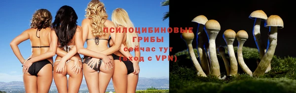 соль курить ск Пересвет