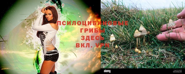 соль курить ск Пересвет