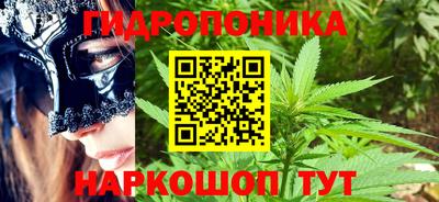 стафф Аргун