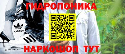 стафф Аргун