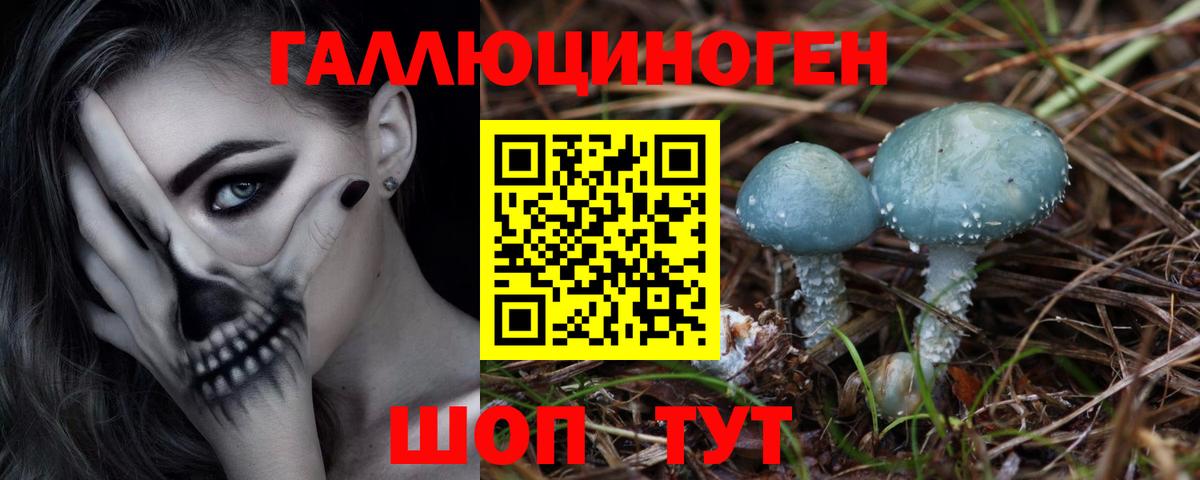 Ивантеевка  Галлюциногенные грибы Psilocybe  где продают   Вход с VPN 