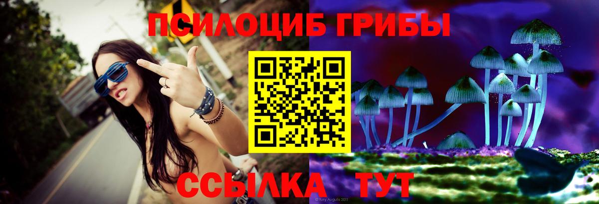 Галлюциногенные грибы ЛСД  Ивантеевка  Псилоцибиновые грибы Psilocybe 