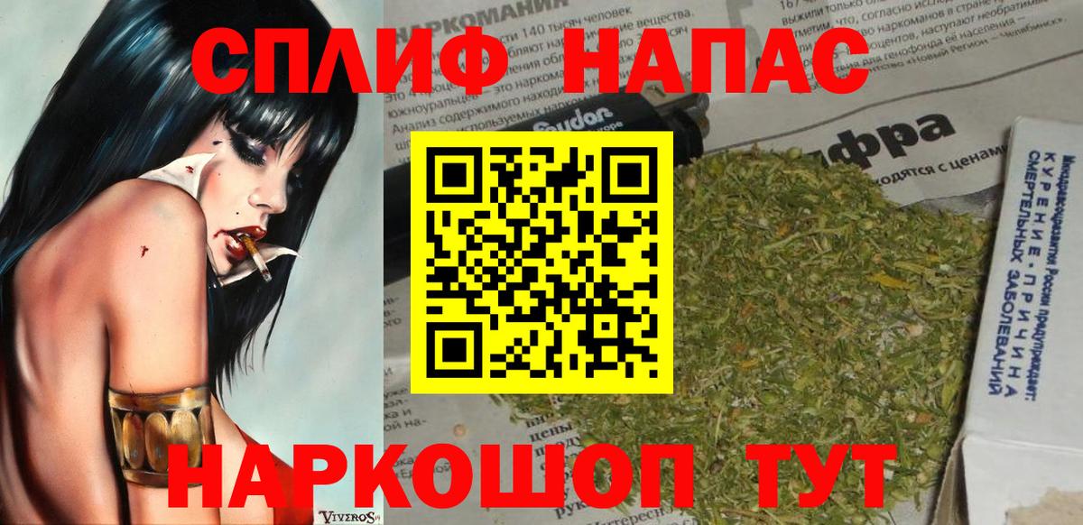 Каннабис планчик  Ивантеевка  Марихуана сатива 